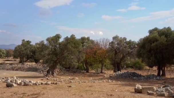Pemandangan Reruntuhan Yunani Kuno Turki Monumen Tua Batu Batu Markah — Stok Video