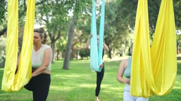 Yoga Saúde Alongamento Exercícios Suaves Saúde Das Mulheres Benefícios Inestimáveis — Vídeo de Stock