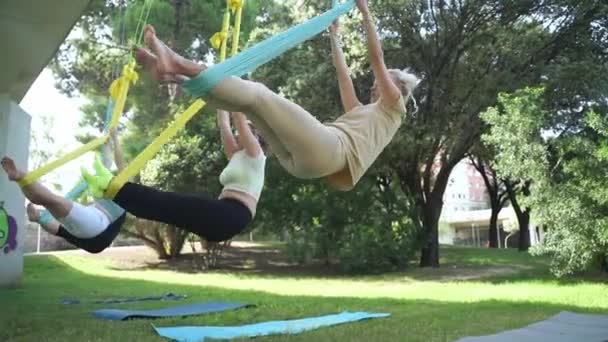 Yoga Santé Étirement Exercices Doux Femmes Santé Avantages Inestimables Pour — Video