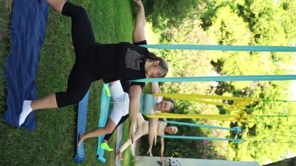 Safety Quality Sport Females Aerial Yoga Sessions Women Conducted Experienced — Stock Video