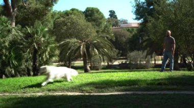 Yazın parkta köpeğiyle dışarıda Oporto 'yu yakalama oyunu oynayan adam. Sahibi evcil hayvanıyla ilgileniyor. Evcil hayvanların akıl sağlığı,