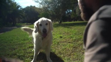 Yazın parkta köpeğiyle dışarıda Oporto 'yu yakalama oyunu oynayan adam. Sahibi evcil hayvanıyla ilgileniyor. Evcil hayvanların akıl sağlığı,