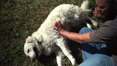 Adam yaz aylarında köpeğiyle birlikte parkın dışında geziyor. Sahibi Pat evcil hayvanıyla ilgileniyor. Evcil hayvanların akıl sağlığı,