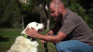 Adam yaz aylarında köpeğiyle birlikte parkın dışında geziyor. Sahibi Pat evcil hayvanıyla ilgileniyor. Evcil hayvanların akıl sağlığı,