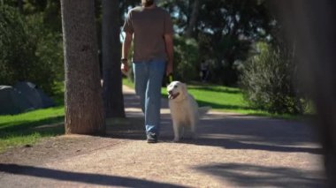 Adam yaz aylarında köpeğiyle birlikte parkın dışında geziyor. Sahibi evcil hayvanıyla ilgileniyor. Evcil hayvanların akıl sağlığı,
