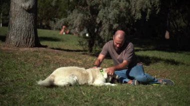 Adam yaz aylarında köpeğiyle birlikte parkın dışında geziyor. Sahibi Pat evcil hayvanıyla ilgileniyor. Evcil hayvanların akıl sağlığı,