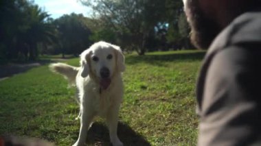 Yazın parkta köpeğiyle dışarıda Oporto 'yu yakalama oyunu oynayan adam. Sahibi evcil hayvanıyla ilgileniyor. Evcil hayvanların akıl sağlığı,
