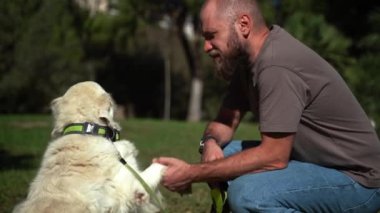 Adam yaz aylarında köpeğiyle birlikte parkın dışında geziyor. Sahibi Pat evcil hayvanıyla ilgileniyor. Evcil hayvanların akıl sağlığı,