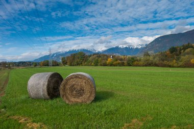 Tarlada yuvarlak saman balyaları, arka planda dağlarla Slovenya 'da yakalandı..
