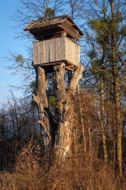 Bir av ağacı standı, büyük bir ağacın testereli kalıntılarına ustalıkla yerleştirilmiş.