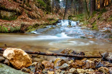 Uzun pozlama - sonbahar ormanlarında akan süt akıntısı.