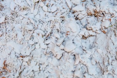 Kuru ot ve kahverengi yapraklar serpiştirilmiş hafif kar arkaplanı