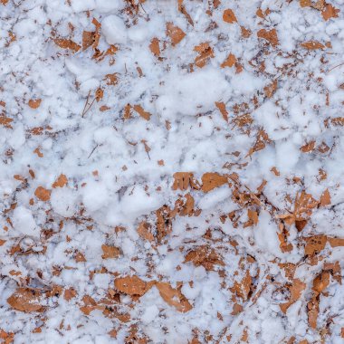 Parçalanmış ve kırılmış kahverengi yaprakların pürüzsüz dokusu, karla karışmıştır.