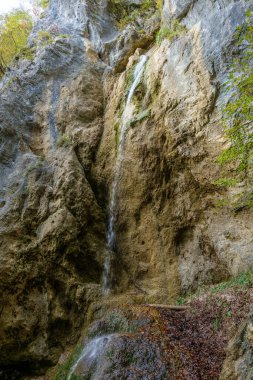 Kireçtaşı uçurumunda küçük bir şelale