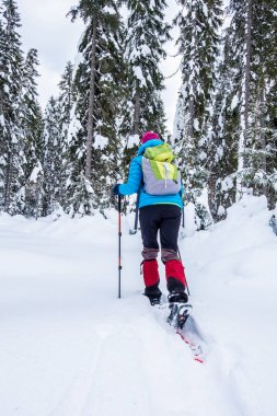 Slovenya, Pokljuka 'da ladin ormanında kar ayakkabısı giyen bir kız.