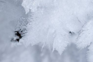 Yüzeyde kar taneleri ve tüy şekilleri