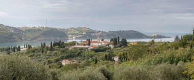 Ön planda Strunjan Panoraması, arka planda sadece Piran görünüyor.