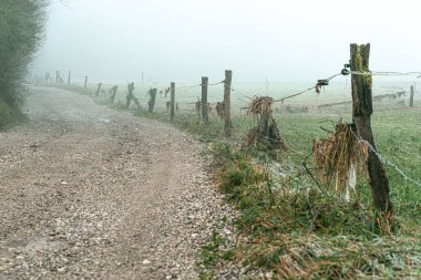 Sel kalıntıları - yola paralel giden elektrikli çitte asılı otlar