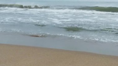 Kuzey Denizi üzerinde soğuk fırtınalı dalgalar ve bulutlar. Kuzey sahilinde kumlu bir sahilde büyük bir okyanus dalgası, beyaz kumlu tropik cennet plajı..