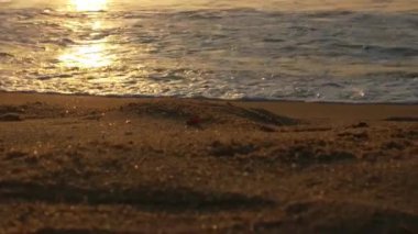 Sabahın erken saatlerinde deniz kıyısında, mavi dalgalar akıyor. Renkli kış gündoğumu. Soğuk fırtınalı dalgalar ve Baltık Denizi üzerindeki bulutlar, yere vuran altın deniz dalgaları. Manzara okyanusu