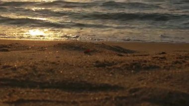 Sabahın erken saatlerinde deniz kıyısında, mavi dalgalar akıyor. Renkli kış gündoğumu. Soğuk fırtınalı dalgalar ve Baltık Denizi üzerindeki bulutlar, yere vuran altın deniz dalgaları. Manzara okyanusu