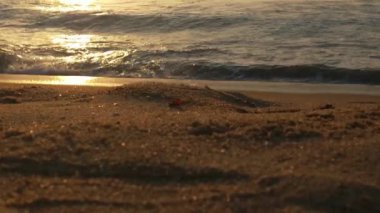 Sabahın erken saatlerinde deniz kıyısında, mavi dalgalar akıyor. Renkli kış gündoğumu. Soğuk fırtınalı dalgalar ve Baltık Denizi üzerindeki bulutlar, yere vuran altın deniz dalgaları. Manzara okyanusu