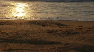 Sabahın erken saatlerinde deniz kıyısında, mavi dalgalar akıyor. Renkli kış gündoğumu. Soğuk fırtınalı dalgalar ve Baltık Denizi üzerindeki bulutlar, yere vuran altın deniz dalgaları. Manzara okyanusu