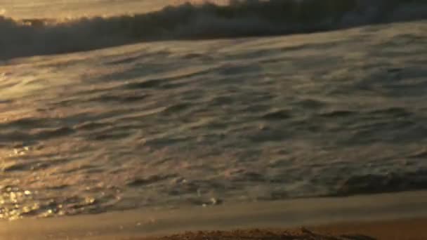 Frühmorgendlicher Sonnenaufgang Meeresufer Blaue Wellen Fließen Bunter Wintersonnenaufgang Kalte Stürmische — Stockvideo
