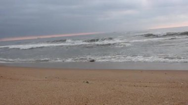 Deniz dalgaları, deniz dalgaları, güzel kumsallar detaylı ve kristal berrak su ve kıyıda gökyüzü. Kuzey denizi üzerinde soğuk fırtınalı dalgalar ve bulutlar. Kuzey kıyısındaki tropik cennet denizinde kumlu bir sahilde dalgalanan büyük okyanus dalgaları.
