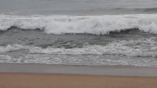 Deniz Dalgaları Deniz Dalgaları Güzel Kumsallar Detaylı Kristal Berrak Kıyıda — Stok video