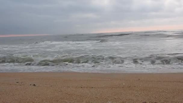 Zeegolf Beweging Looping Golf Golven Van Zee Prachtige Stranden Gedetailleerd — Stockvideo