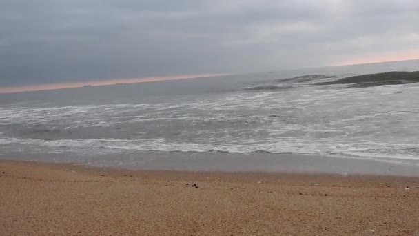 Havsvågen Looping Våg Vågor Havet Vackra Stränder Detaljerade Och Kristallklart — Stockvideo