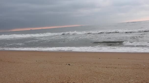 아침해 바닷가에서 떠오르자 파도가 밀려왔다 발트해의 풍경을 파도와 황금빛 바다의 — 비디오