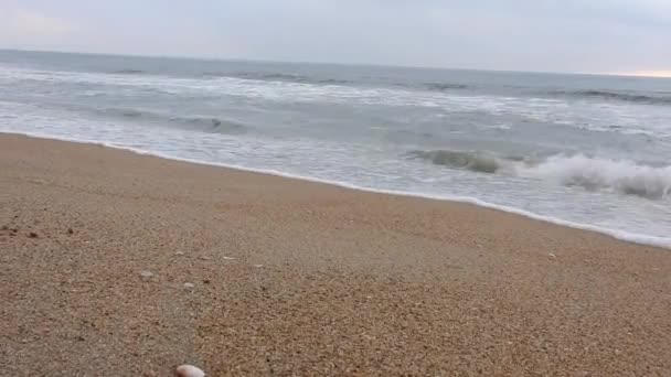 Ξημέρωσε Νωρίς Πρωί Στην Ακτή Κυματίζουν Μπλε Κύματα Πολύχρωμο Χειμωνιάτικο — Αρχείο Βίντεο
