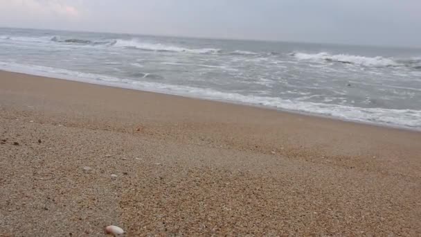 아침해 바닷가에서 떠오르자 파도가 밀려왔다 발트해의 풍경을 파도와 황금빛 바다의 — 비디오