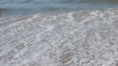 Sabahın erken saatlerinde deniz kıyısında, mavi dalgalar akıyor. Renkli kış gündoğumu. Soğuk fırtınalı dalgalar ve Baltık Denizi üzerindeki bulutlar, yere vuran altın deniz dalgaları. Okyanus manzarası deniz dalgaları döngü dalgaları, deniz dalgaları, 