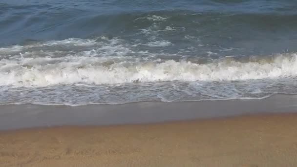 Tidlig Morgen Soloppgang Ved Havets Strand Blå Bølger Som Strømmer – stockvideo