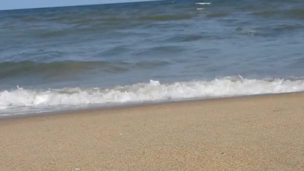 Kapalı Deniz Kumsalı Panoramik Plaj Manzarası Tropikal Deniz Manzarası Ufkuna — Stok video