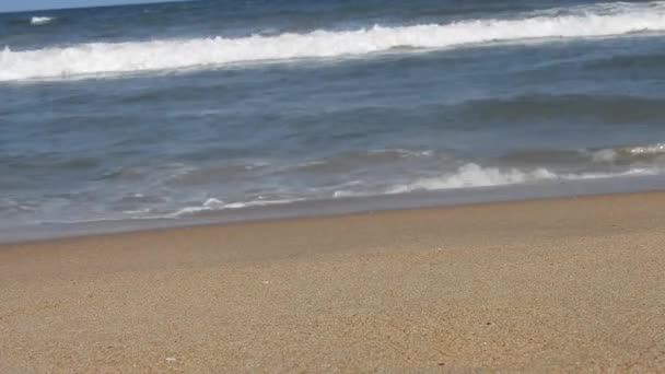 Blisko Morza Piaszczysta Plaża Panoramiczny Krajobraz Plaży Zainspiruj Tropikalny Horyzont — Wideo stockowe