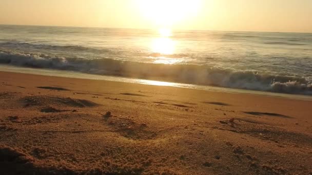 海の砂のビーチを閉じます パノラマのビーチの風景 熱帯のビーチの海景の地平線を刺激する オレンジと黄金の夕日の空穏やかな穏やかなリラックスした日差しの夏の気分 ホライゾン サンライズのビーチで美しい日の出 海と黄金の太陽が昇る — ストック動画