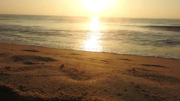 闭塞的海沙海滩 全景海滩景观 汹涌的热带海滩海景地平线 橙色和金色的夕阳西下的天空平静了下来 轻松了夏日阳光的心情 美丽的日出在地平线日出海滩 海洋和金色的太阳升起 — 图库视频影像