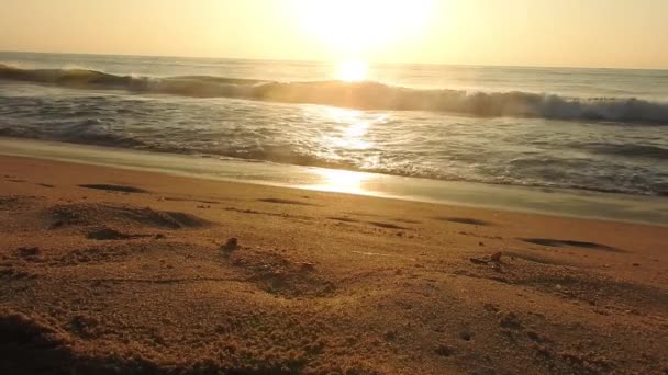 Closeup Sea Sand Beach Panoramic Beach Landscape Inspire Tropical Beach — Stock Video