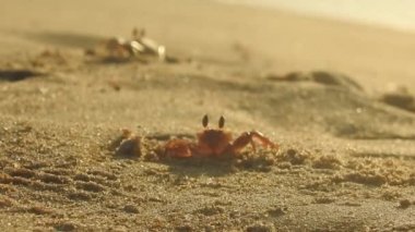 Güneşin doğuşunda balıkçıyla birlikte teknenin silueti Horizon Sunrise sahilinde güzel bir gün doğumu. Okyanus ve altın güneş doğuyor, parlak altın arka plan. Güneşin batışında dramatik bulutlu gökyüzünün olduğu güzel manzara. turuncu 