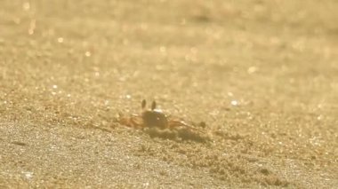 Güneşin doğuşunda balıkçıyla birlikte teknenin silueti Horizon Sunrise sahilinde güzel bir gün doğumu. Okyanus ve altın güneş doğuyor, parlak altın arka plan. Güneşin batışında dramatik bulutlu gökyüzünün olduğu güzel manzara. turuncu 