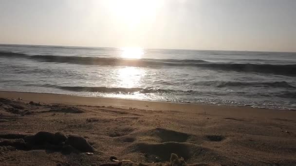 아름다운 선라이즈는 Horizon Sunrise 해변에 있습니다 바다와 황금빛 태양이 떠오르는 — 비디오