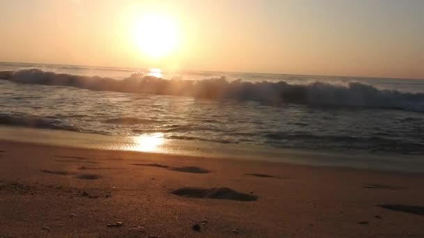 Beautiful Sunrise Beach Horizon Sunrise Ocean Golden Sun Rise Bright — Stock Video