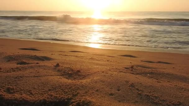 ホライゾン サンライズのビーチで美しい日の出 海と黄金の太陽の上昇明るい黄金の背景 海の夕日で劇的な曇りの空と美しい風景 オレンジ色の夕日が海の漁師と一緒にボートのシルエットを撮影 — ストック動画