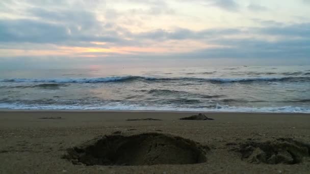 Κοντά Στην Παραλία Την Άμμο Πανοραμικό Τοπίο Παραλίας Έμπνευση Τροπική — Αρχείο Βίντεο