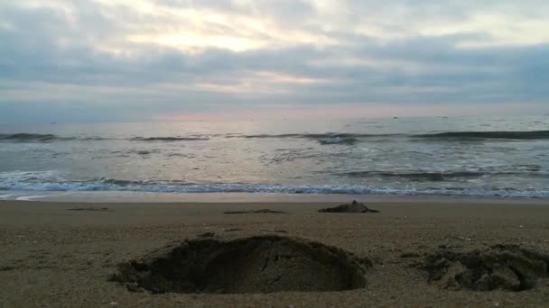 Blisko Morza Piaszczysta Plaża Panoramiczny Krajobraz Plaży Zainspiruj Tropikalny Horyzont — Wideo stockowe