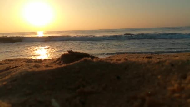 大西洋上の日の出 海の波が風景運動を流れています 海と自然の海岸の映像です カラフルな冬の日の出 風景ビデオでバルト海の冷たい嵐の波と雲 熱帯のビーチでロマンチックな日の出 金色の線で — ストック動画